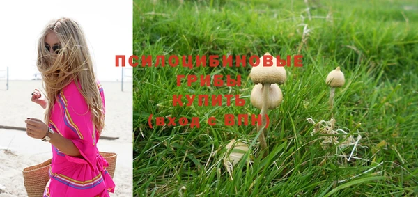 дурь Алексеевка