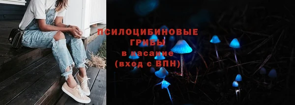 дурь Алексеевка