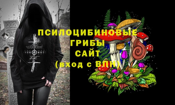 герыч Алексин