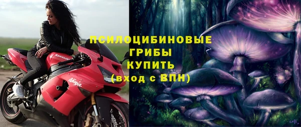 скорость Алзамай