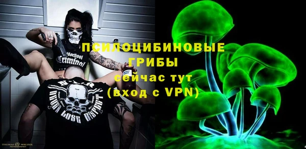 дурь Алексеевка